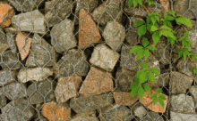 Gabionenshop24 – Gartengestaltung mit Gabionen