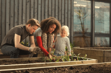 1. Schicht Hochbeet – Schichten im Hochbeet